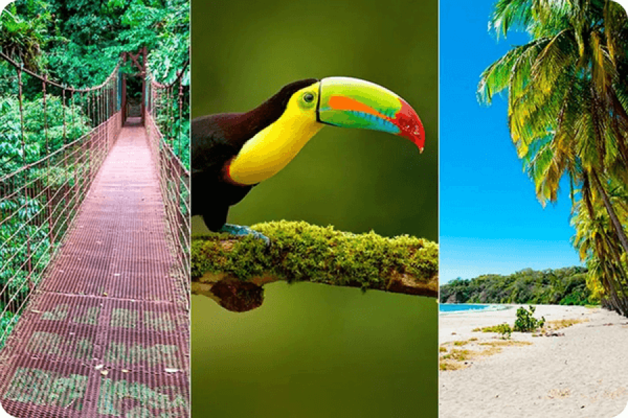 Costa Rica Highlights of the Tropics (7 days)
