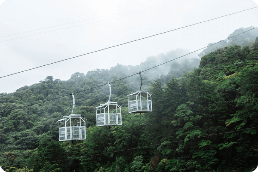 CLOUD FOREST PARADISE