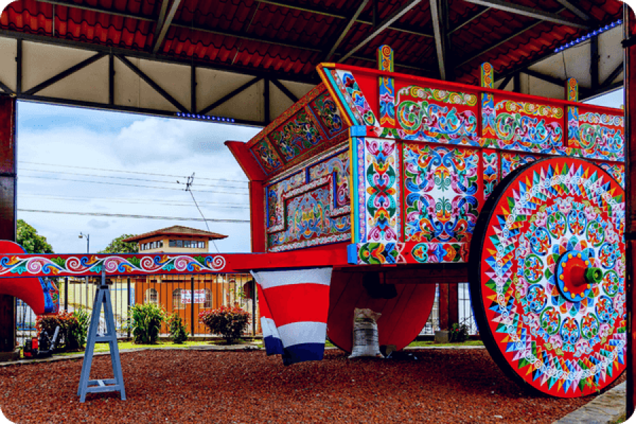 COFFEE ART AND COLOR